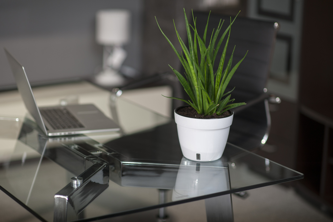 EASINOX - (11) 98373-0285